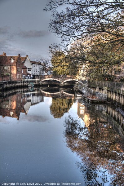Fye Bridge, November in Norwich  Picture Board by Sally Lloyd