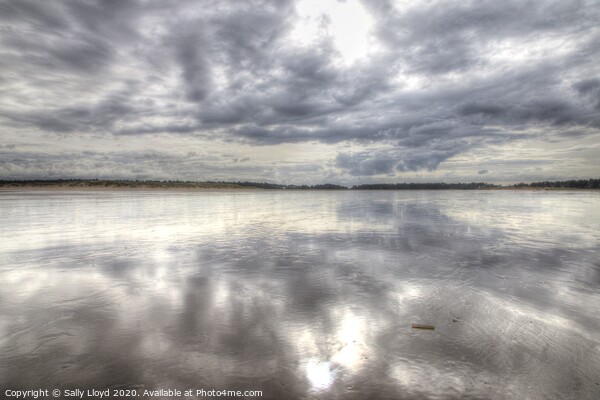 Holkham Winter sky reflections Picture Board by Sally Lloyd