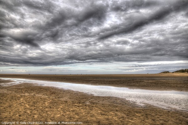 Holkham under stormy skies Picture Board by Sally Lloyd
