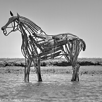 Buy canvas prints of The Lifeboat Horse at Wells-next-the-Sea  by Sally Lloyd