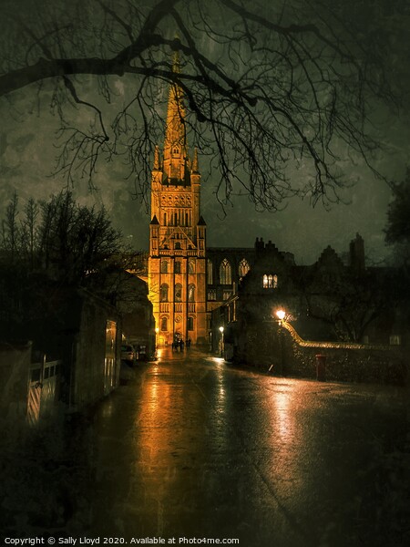 Norwich Cathedral at Night Picture Board by Sally Lloyd