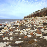 Buy canvas prints of Rocky beach at Hunstanton by Sally Lloyd