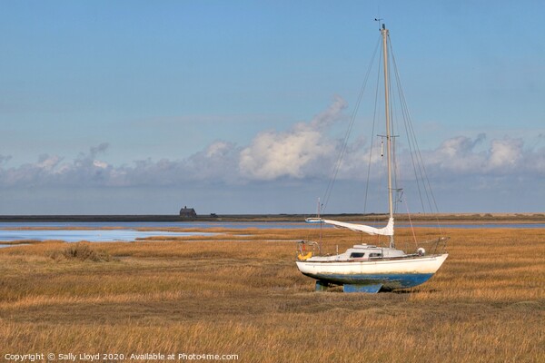Boat aground at Blakeney Picture Board by Sally Lloyd