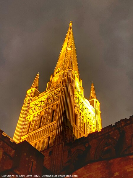 Golden Wonder at Norwich Cathedral  Picture Board by Sally Lloyd