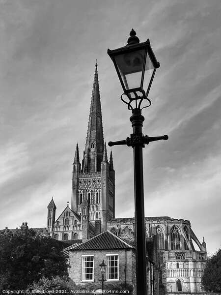 Norwich Cathedral black and white  Picture Board by Sally Lloyd