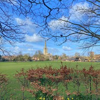 Buy canvas prints of Springtime at Norwich Cathedral by Sally Lloyd