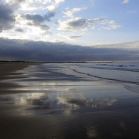 Buy canvas prints of Seaton Sluice Beach by Steven Maitland