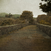 Buy canvas prints of Bridge to farm by Annie Page