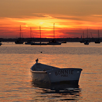 Buy canvas prints of  Bonnie of a sunset. by paul cobb
