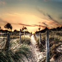Buy canvas prints of  The path to sunset. by paul cobb
