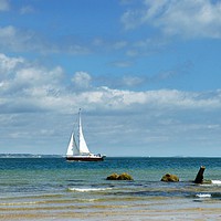 Buy canvas prints of A day sailing. by paul cobb