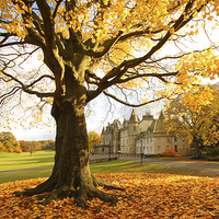 Buy canvas prints of Callendar House in Autumn, Falkirk, Scotland by Malgorzata Larys