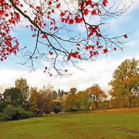 Buy canvas prints of Beautiful, sunny autumn in the park of Falkirk by Malgorzata Larys