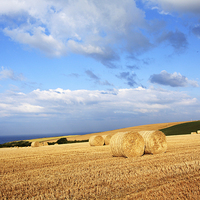Buy canvas prints of Beautiful landscape with hay bales, Scotland by Malgorzata Larys