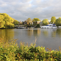 Buy canvas prints of River Thames in Richmond by Malgorzata Larys