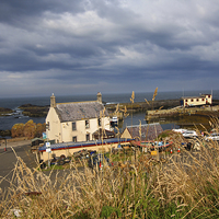 Buy canvas prints of St Abbs, Summertime, Scotland, UK by Malgorzata Larys