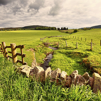 Buy canvas prints of Spring rural landscape with stone wall,  Scotland by Malgorzata Larys