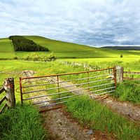 Buy canvas prints of Spring rural landscape in Scotland  by Malgorzata Larys