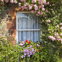 Buy canvas prints of Stone cottage in Scotland with window and climbing by Malgorzata Larys