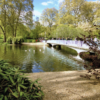 Buy canvas prints of  London park, Spring time  by Malgorzata Larys