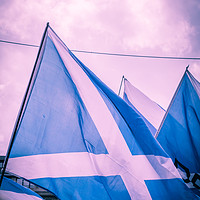 Buy canvas prints of Scottish Flags, Independence March by Malgorzata Larys