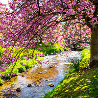 Buy canvas prints of Spring at the river in Scotland by Malgorzata Larys