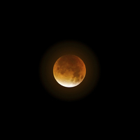 Buy canvas prints of Blood Supermoon by Ellie Rose