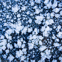 Buy canvas prints of Ice Crystals by Ellie Rose