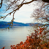 Buy canvas prints of Loch Ness by Ellie Rose