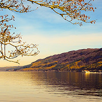 Buy canvas prints of The Search for Nessie by Ellie Rose