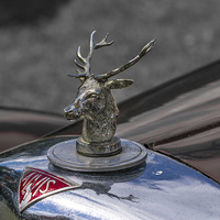 Buy canvas prints of Unknown Alvis car with a Stag hood emblem by Simon Philp
