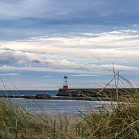 Buy canvas prints of Berwick Lighthouse and Pier  by Simon Philp