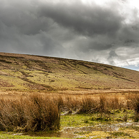 Buy canvas prints of  Touch of Exmoor by Dave Rowlatt