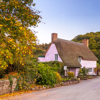 Buy canvas prints of  Rose Cottage, Dunster by Dave Rowlatt