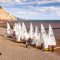 Buy canvas prints of Sidmouth Sailing  by Dave Rowlatt