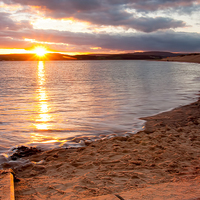 Buy canvas prints of  Golden Exmouth by Dave Rowlatt
