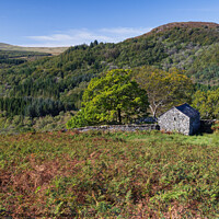 Buy canvas prints of Dutton Valley in the Lake District by Dave Rowlatt