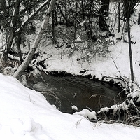 Buy canvas prints of  Alaska Winter Creek by Erin Hayes