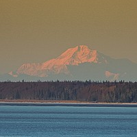 Buy canvas prints of Mt. McKinley, Alaska by Erin Hayes