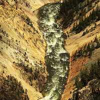Buy canvas prints of  Looking down the Grand Canyon of Yellowstone, Yel by Jan Hofheiz