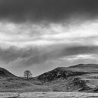 Buy canvas prints of Sycamore Gap by Mark Godden