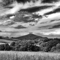 Buy canvas prints of  Colmers Hill. by Mark Godden