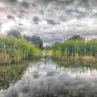 Buy canvas prints of  Flag Fen by Mark Godden