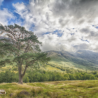 Buy canvas prints of  Ben Nevis by Mark Godden