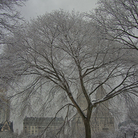 Buy canvas prints of  Winter in NYC. by Mark Godden