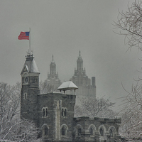 Buy canvas prints of  Central Park in Winter. by Mark Godden