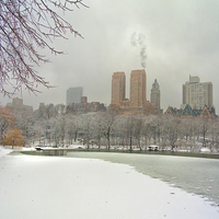 Buy canvas prints of  Snow in Central Park. by Mark Godden
