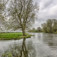 Buy canvas prints of  Grantchester Tree. by Mark Godden