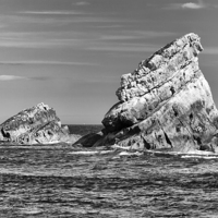 Buy canvas prints of Mupe in mono.  by Mark Godden