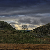 Buy canvas prints of  Sycamore Gap. by Mark Godden